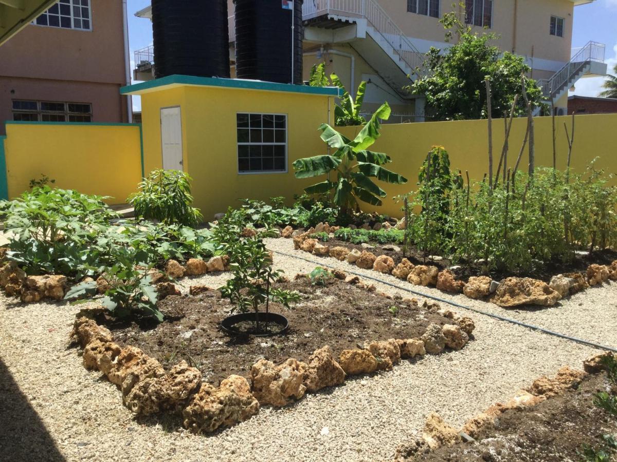 Cc Best Villas Tobago Lowlands Esterno foto
